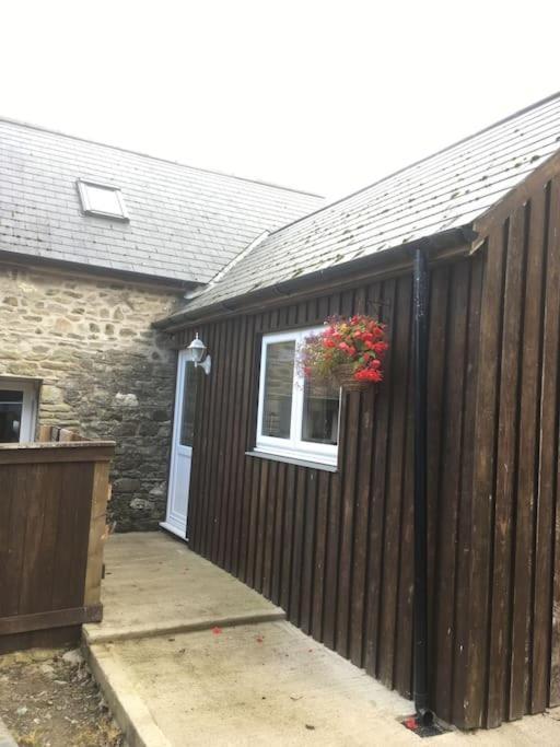 Villa Y Boidy Bach à Llangrannog Extérieur photo